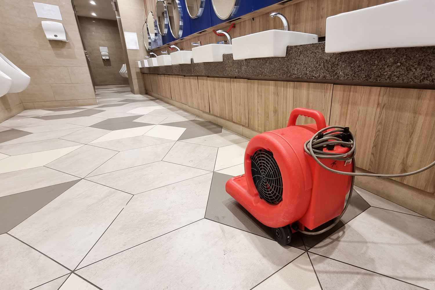 Flood Mitigation Fan Floor Drying